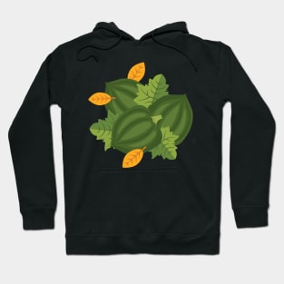 Fall Squash Hoodie